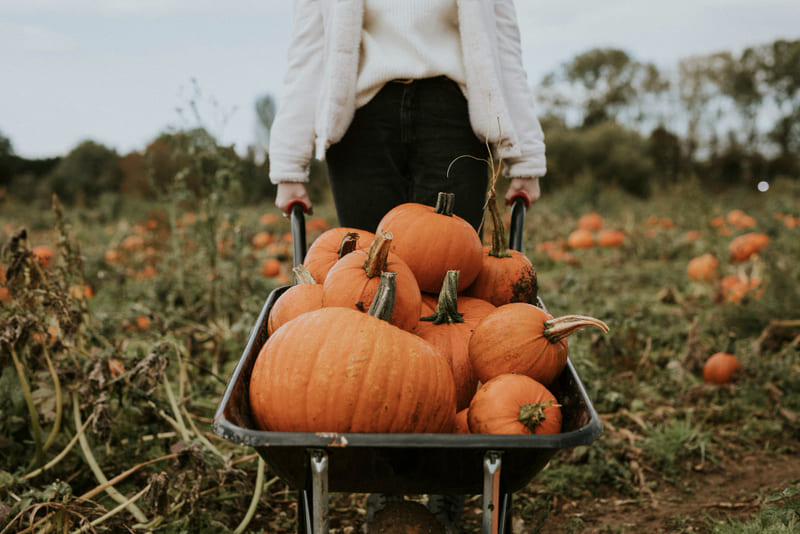 Renueva la imagen de tus escaparates en otoño