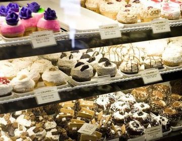 bake-shop-cupcakes-display-617693_640
