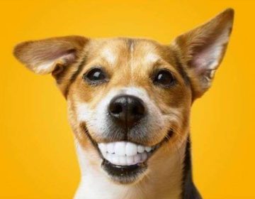 Trucos de publicidad para productos y anuncios