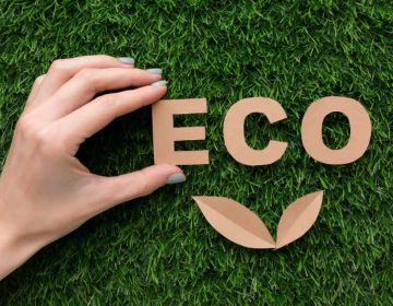 palabra eco sobre hierba